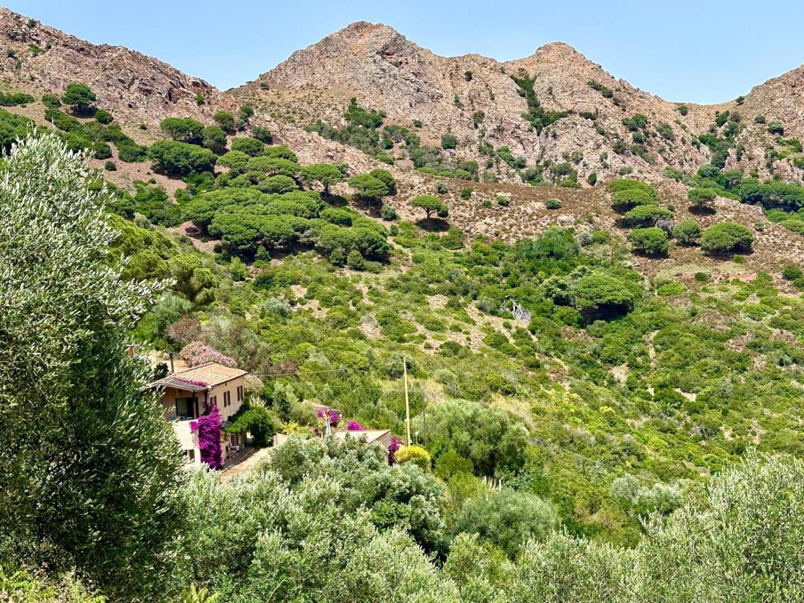 Ferienwohnung Aria Di Collina - Isola D'Elba Porto Azzurro Exterior foto